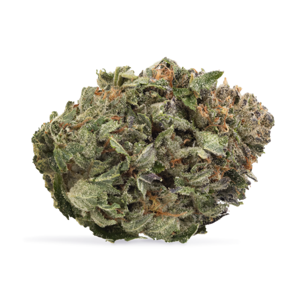 Organic Comatose