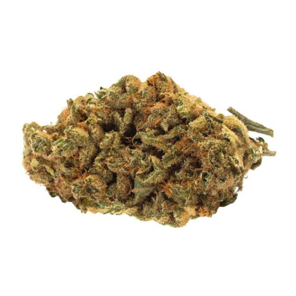 Indica