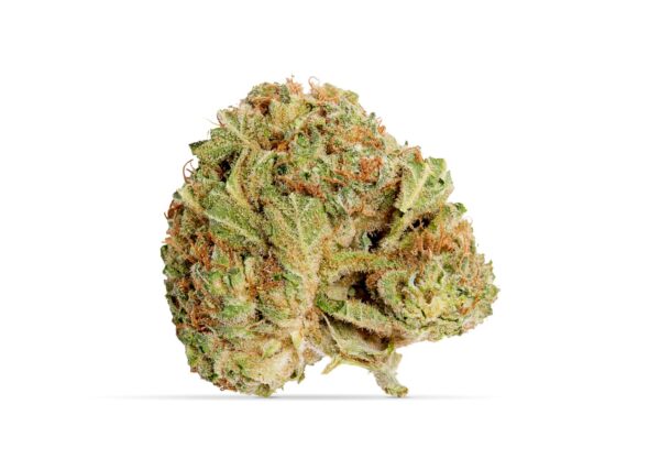 Grower's Choice Indica