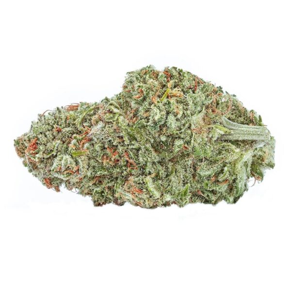 Organic Sugar Bush