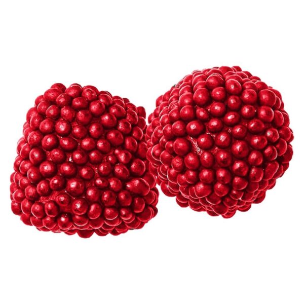 Wild Berries Soft Chew