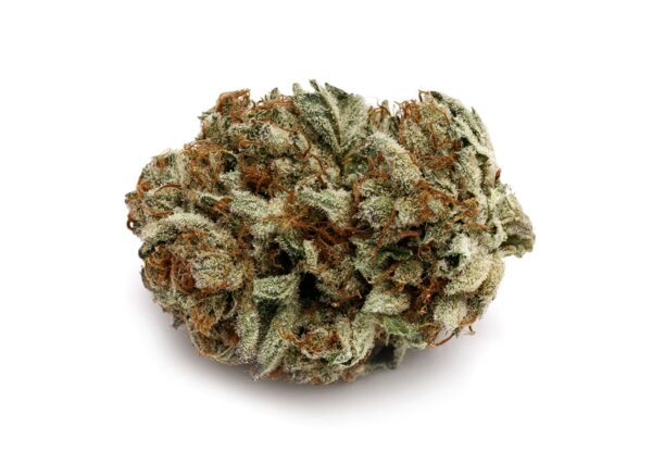 D. Bubba