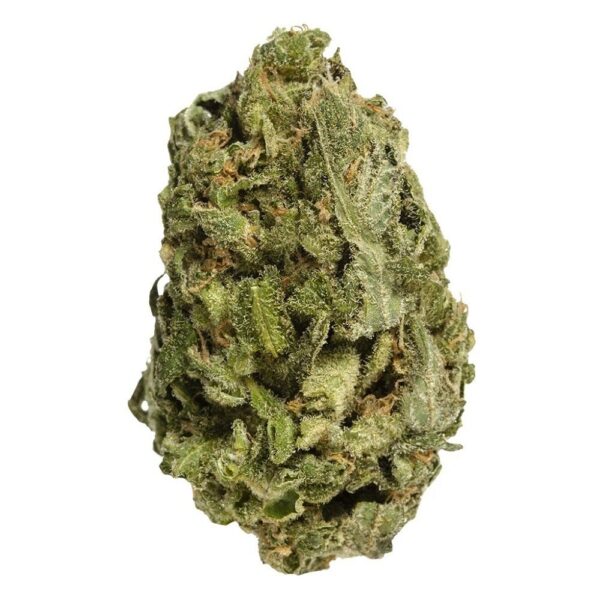 All Purpose Sativa