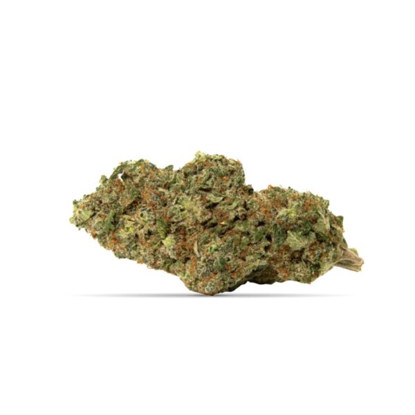 Afghani Drifter