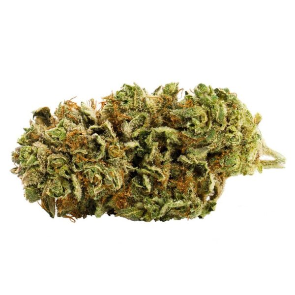 RC Craft Consortium – Gnomestar Meat Breath