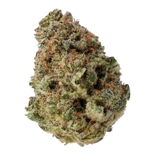 All Purpose Indica