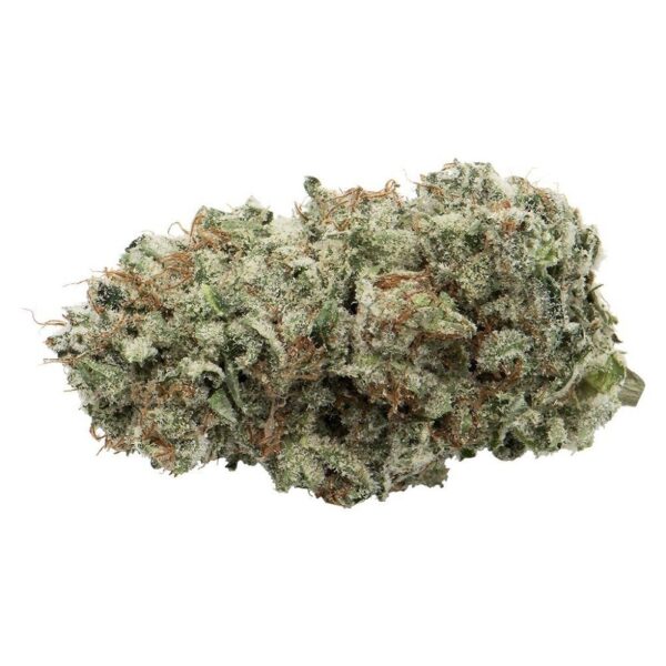 Afghani Drifter