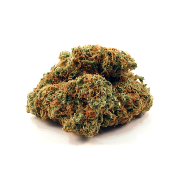 Sensi Wizard
