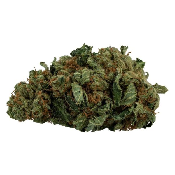 MK Ultra