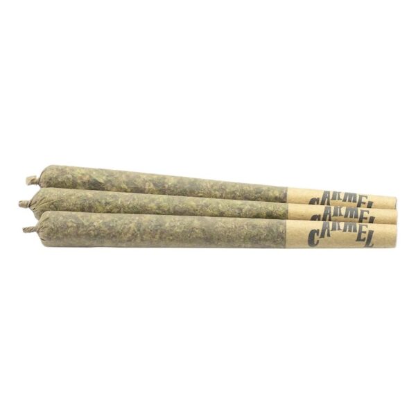 Animal Face PR 3 x 0.5 g