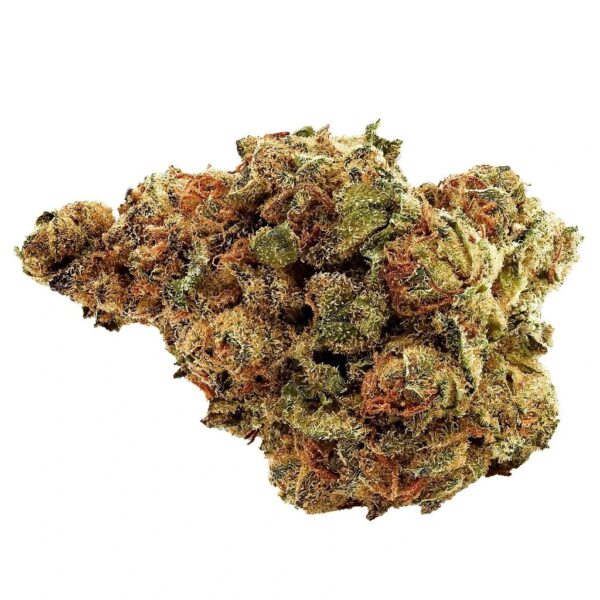 Cactus Breath