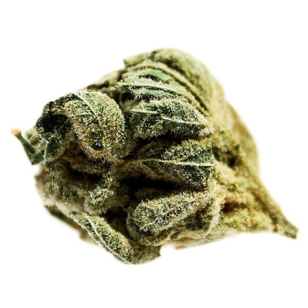 Frosted Cherry