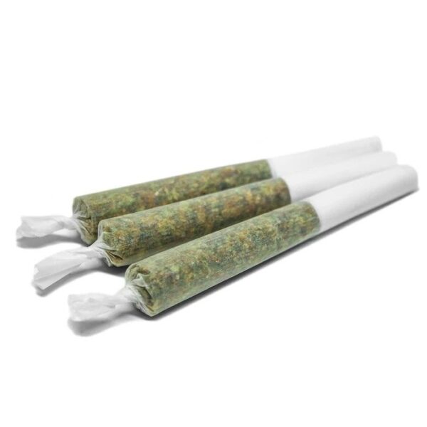 Cocoa Bomba PR 3 x 0.5 g