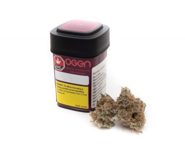 Bacio Punch #8