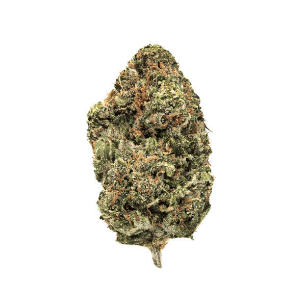 Jack Haze