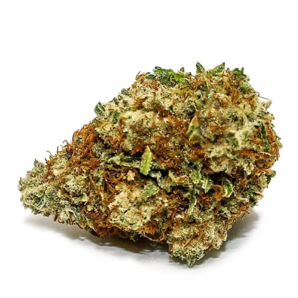 Sensi Star