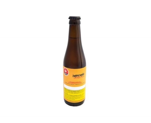 Mango Kombucha