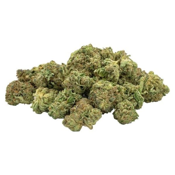 Sativa