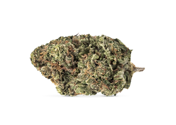 Jack Haze