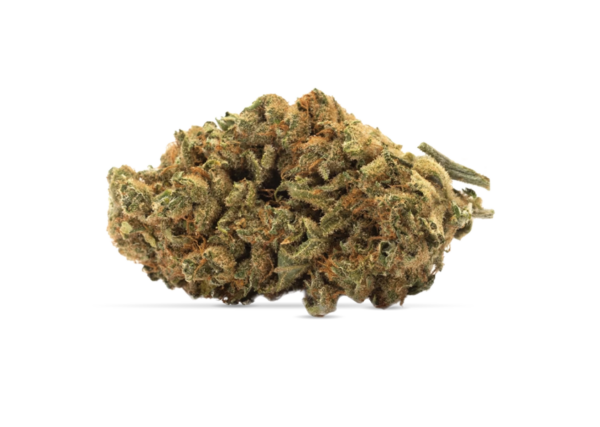 Indica