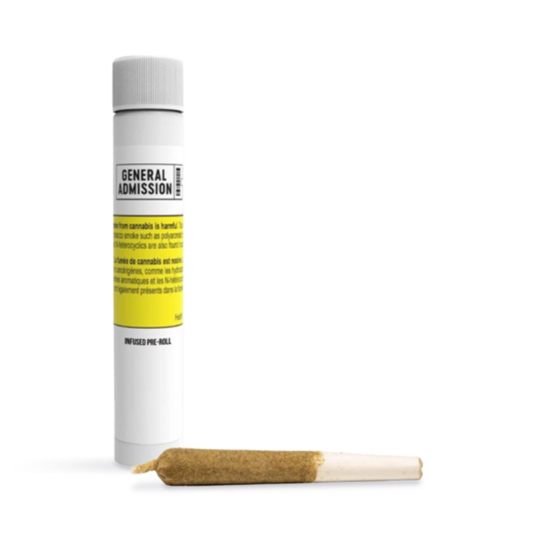 Berry G #33 Infused Pre-Roll | 1g