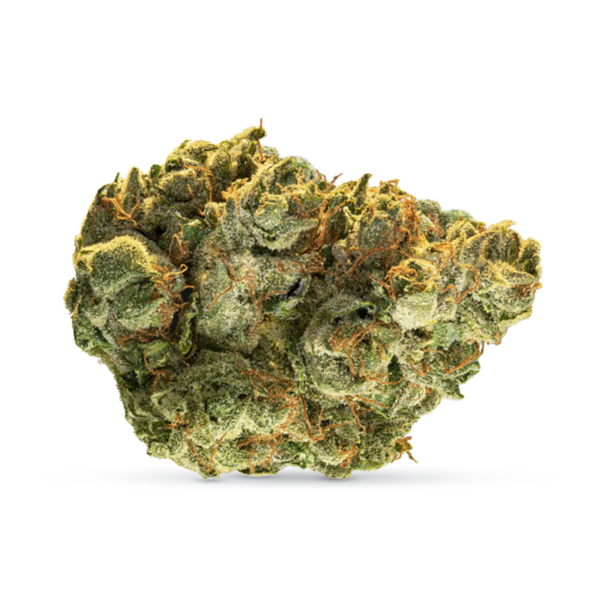 Hollywood OG