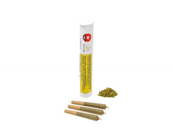 Powdered Donuts PR 3 x 0.5 g