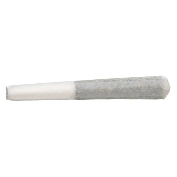 Craft Sampler PR 3 x 0.5 g