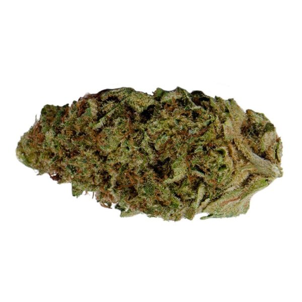 OS.Indica