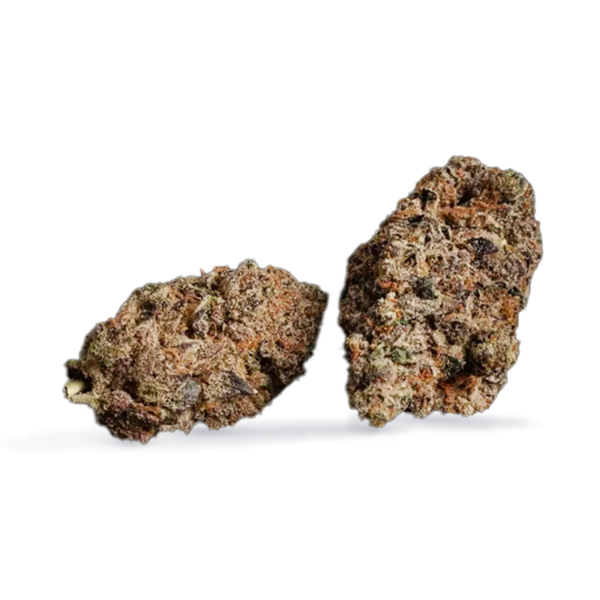 Plum Dosi