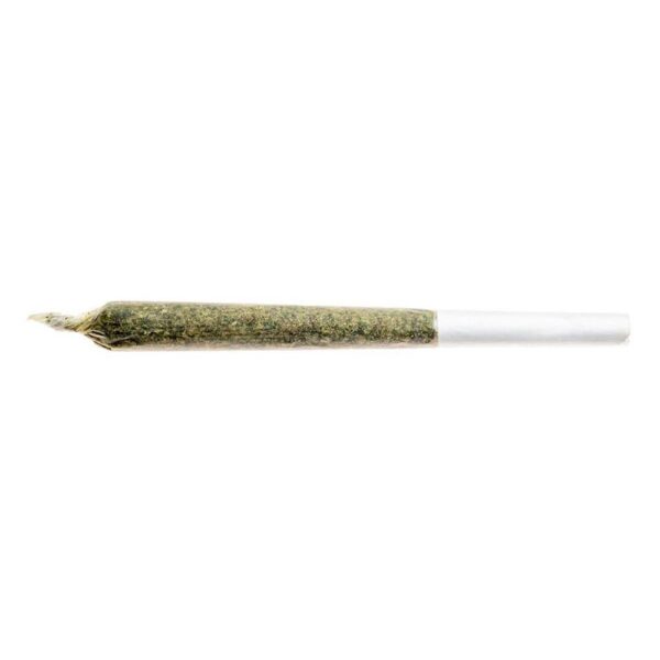Jean Guy PR 1 x 1 g