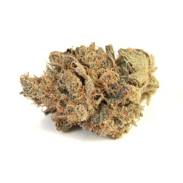 Pink Bubba