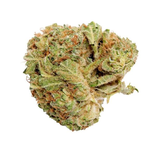 Grower's Choice - Indica
