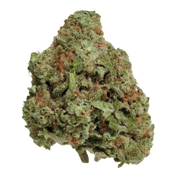 Northern Berry UP20