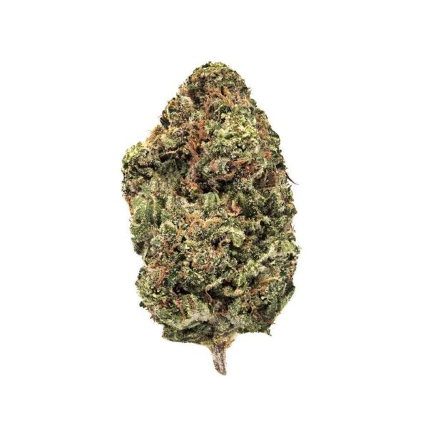 Jack Haze