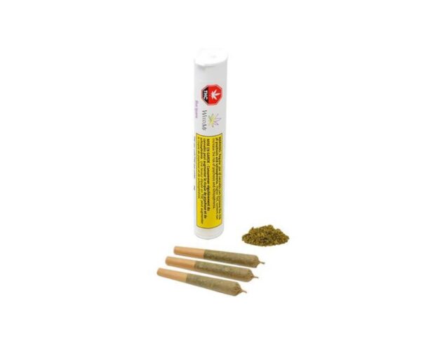 Blue Iguana PR 3 x 0.5 g