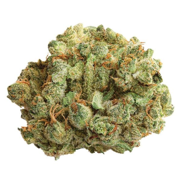 Cocoa Bomba