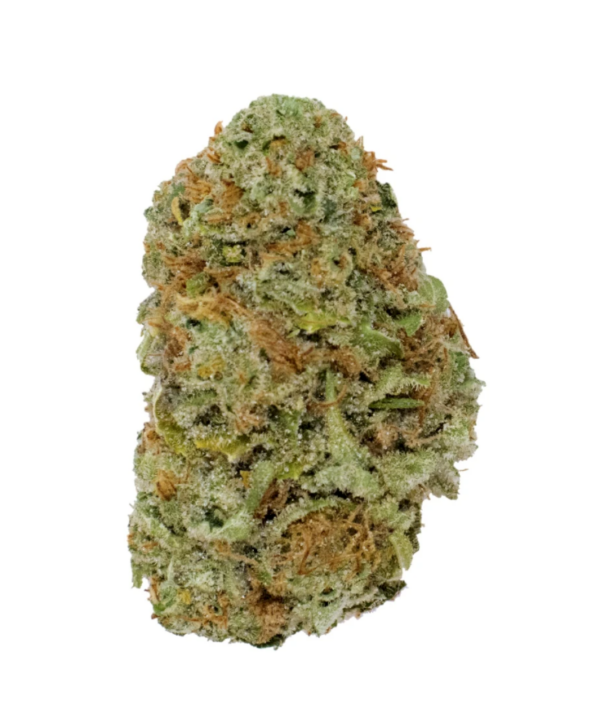 Papaya