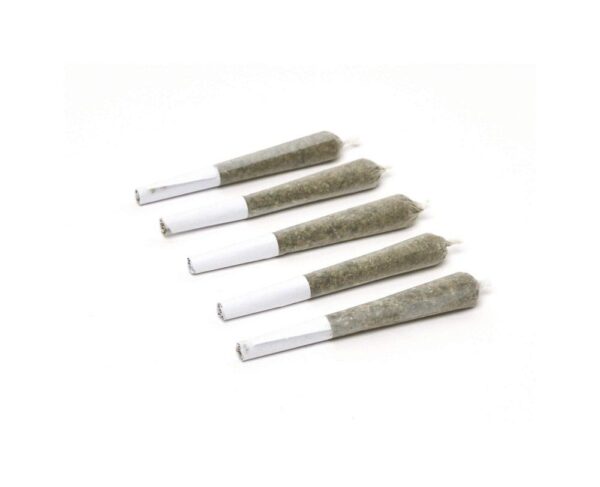 Purple Punch Mints #11 PR 5 x 0.5 g