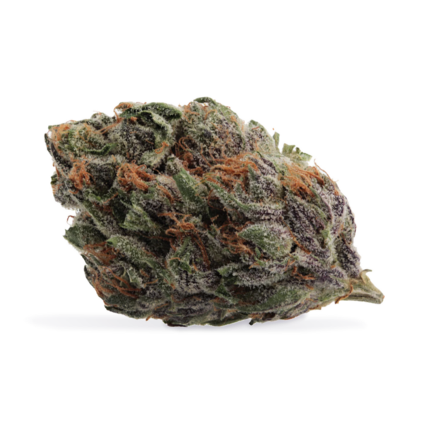 Craft Mango Sapphire