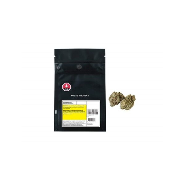 Sticky Monkey