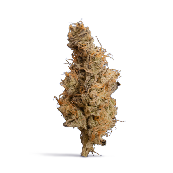 dosi-GMOsi #6 | 3.5g