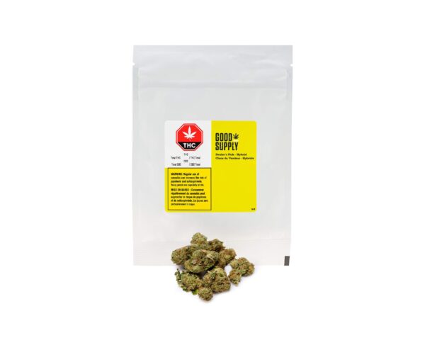 Dealer's Pick - Hybrid
