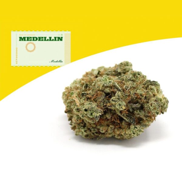 Medellin