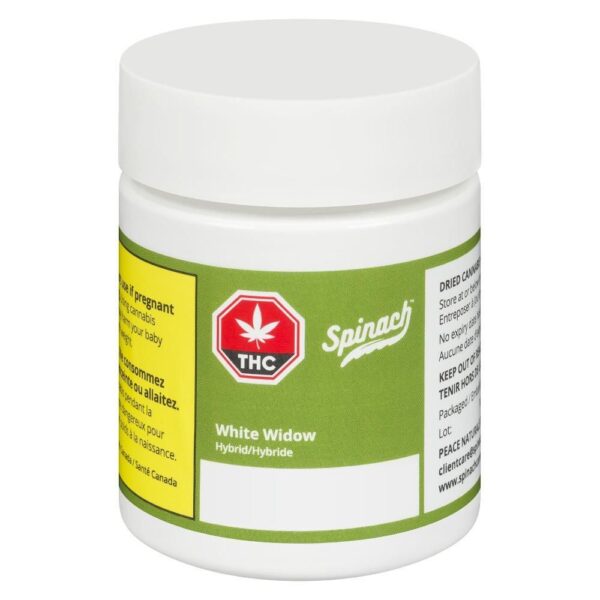 White Widow