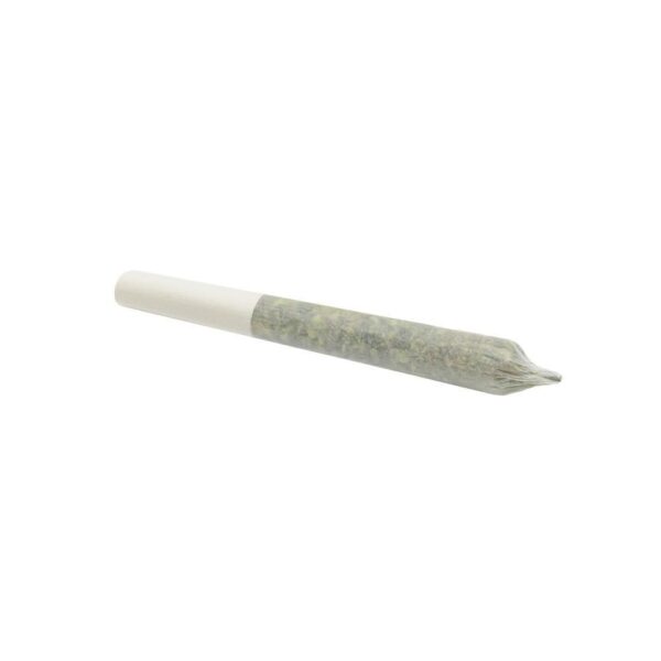 Blend 19 PR 3 x 0.5 g
