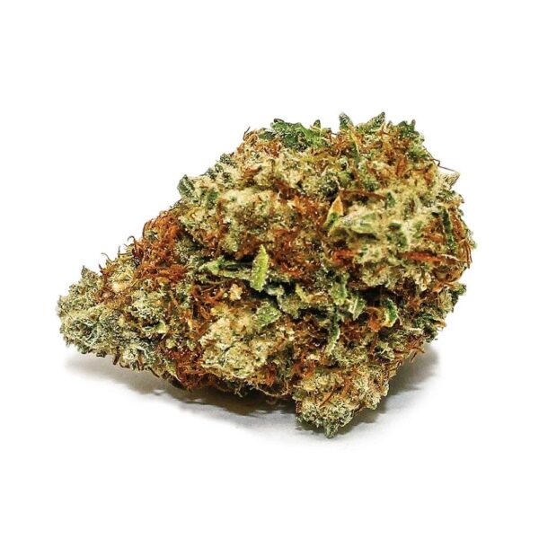 Sensi Star