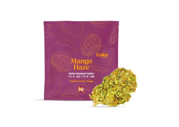 Mango Haze 1:1 | 3.5g