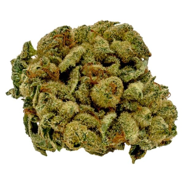 GG#4