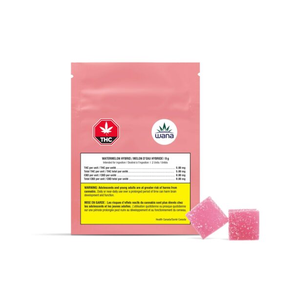 Watermelon Sour Soft Chews